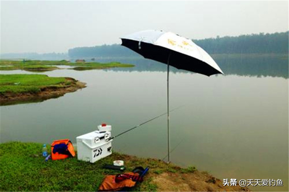 夏季钓鱼，常见困难及应变方法，高温季节鱼难钓，更要注重技巧  -图5