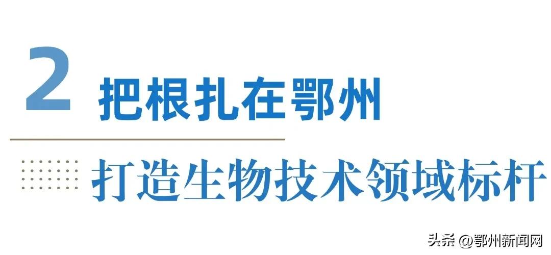 小小微球，补齐鄂州生物医药产业链关键一环  -图4