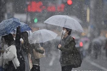 寒潮创新高！大雨、暴雨覆盖区域已确定，今夜至26号天气预报  -图3