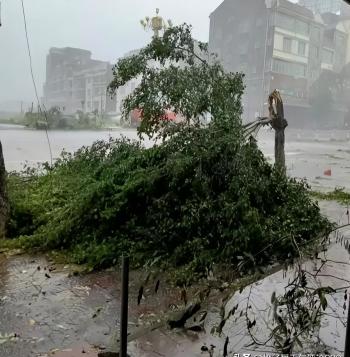 寒潮创新高！大雨、暴雨覆盖区域已确定，今夜至26号天气预报  -图9