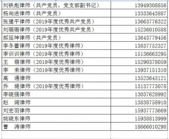 「共抗疫情 免费咨询」南阳大为律师事务所公布全所律师联系方式  -图4